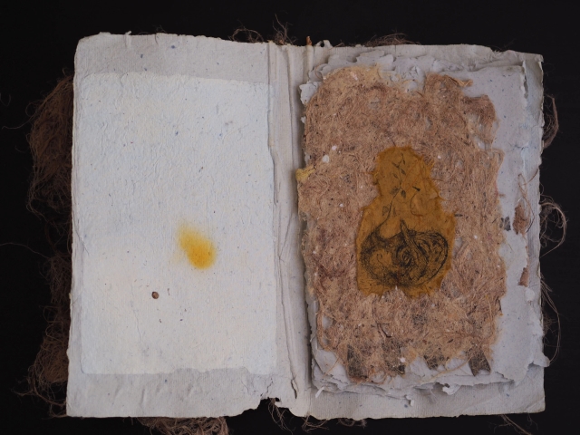 Image of Seeds Stories (A Book Series) - 2019