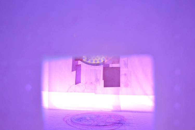 Image of Shadow facing the Light - 2015