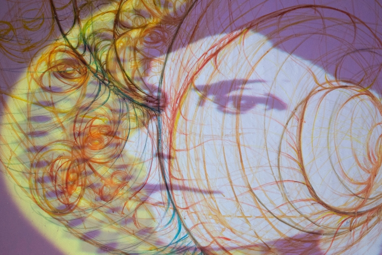 Image of Shadow facing the Light - 2015