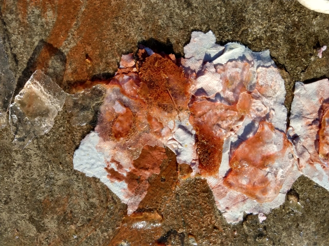 Image of Reciprocity #23 - 2021
