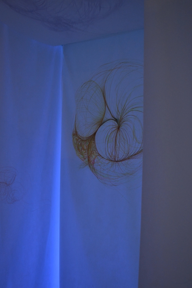 Image of Shadow facing the Light - 2015