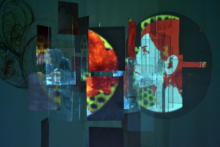 Image of Shadow facing the Light - 2015