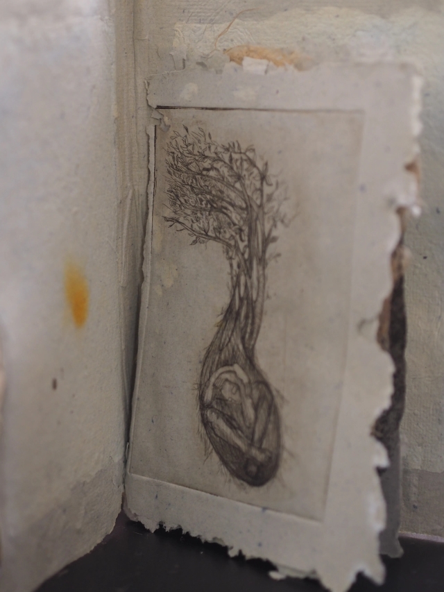 Image of Seeds Stories (A Book Series) - 2019
