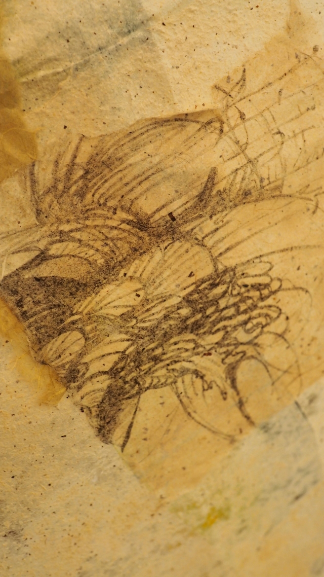 Image of Listen to the Reed - 2015